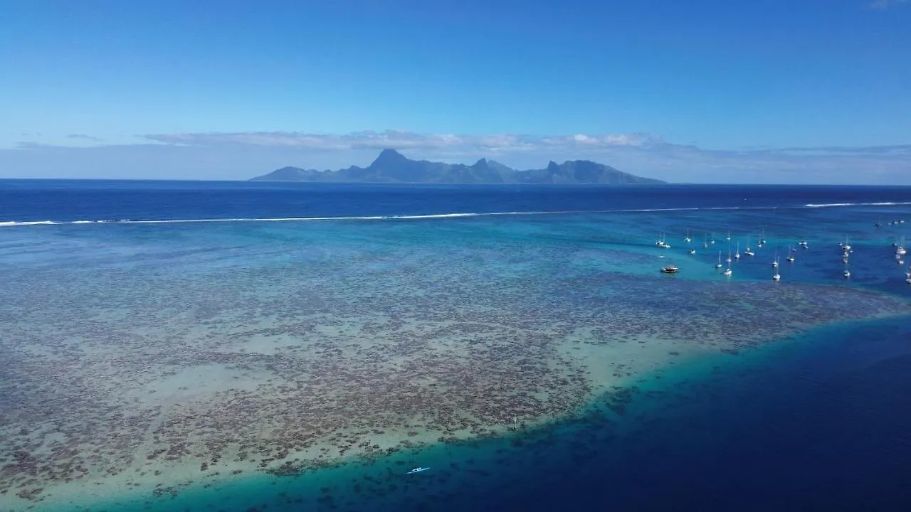 Temanahau Lodge Villa Vue Ocean Et Moorea Punaauia  Punaauia (Tahiti)